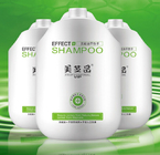 Seidiges glatt machendes Shampoo und Conditione für alle Arten Haar GMPC
